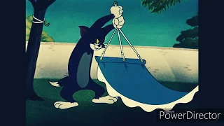 Tom and Jerry AMV - Courtesy Call