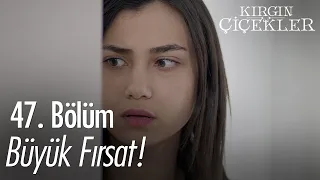 Meral'in eline geçen fırsat! - Kırgın Çiçekler 47. Bölüm