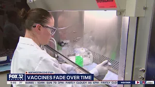 Northwestern study sheds light on long-term effectiveness of vaccines