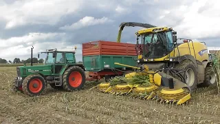 Chopping corn with Bosman