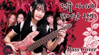 H1KEY - Rose Blossom [Bass Cover]