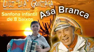 Como tocar a música Asa Branca na sanfona infantil de 8 baixos