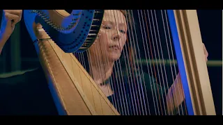 Live Performance: Wildflower (Yolanda's Song) by Arturo Sandoval, Yolanda Kondonassis, harp