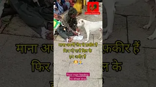 🙏beggar feeding street dog ❤️🐶 #shorts #short #youtubeshorts #doglover #helpingdogs #hearttouching