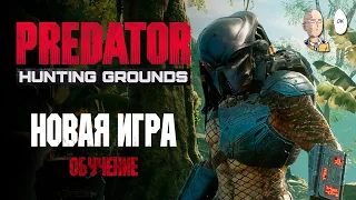 Новая игра про Хищника в EGS! Бесплатные три дня игры! Обучение. | Predator: Hunting Grounds