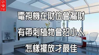 【電視風水】電視機在財位會漏財，有帶刺植物會招小人，怎樣擺放才最佳？