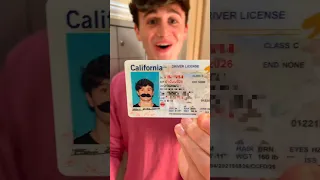 ID PHOTO WITH A FAKE MUSTACHE