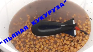 "Пьяная" кукуруза, "кислая" кукуруза, для закорма места для рыбалки,отлично работает на течении и...