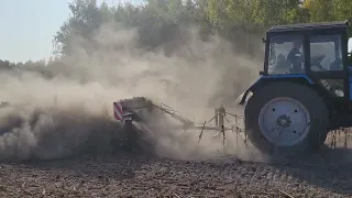 КОЛІСНИЦЯ ПО ПАЛЦІ СОНЯШНИКА. Поле карта