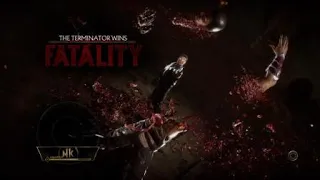 Mortal Kombat 11 Terminator fatality