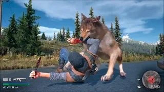 Days Gone - Hunting Wolves - Open World Free Roam Gameplay (PS4 HD) [1080p60FPS]