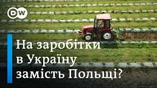 Заробітчани: на сезонні роботи в Україну замість Польщі? | DW Ukrainian