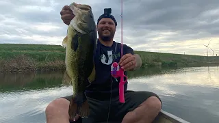 Insane bass on a Barbie pole