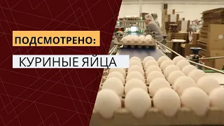 Подсмотрено на производстве. Яйца