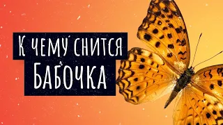 К чему снится бабочка. Сонник бабочка, толкование сна