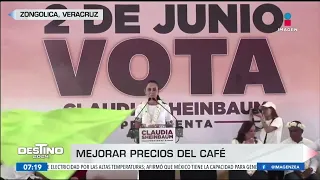 Claudia Sheinbaum se compromete a apoyar a los productores de café de Veracruz | Francisco Zea