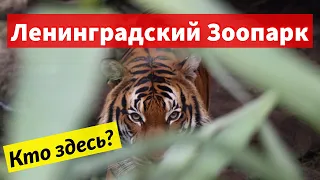 "Ленинградский Зоопарк" | Сходи Посмотри на старейший Зоосад Санкт-Петербург