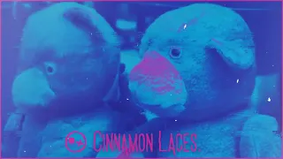 Cinnamon Laces (Visualiser) - Fonzy and Company