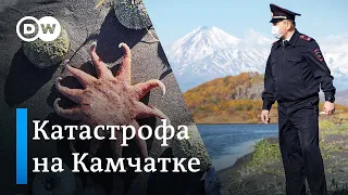 Экологическая катастрофа на Камчатке - какими могут быть последствия?