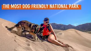 Great Sand Dunes National Park I Dog Friendly National Park!