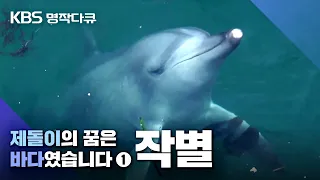 [KBS명작다큐] 제돌이의 꿈은 바다였습니다 1부_작별