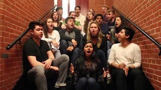 Dog Days Are Over (A Cappella Cover)