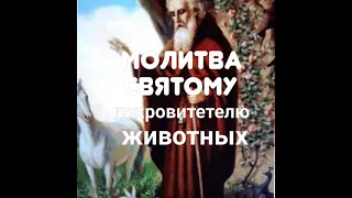 Молитва Святому покровитетелю животных, Власию.