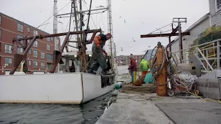 Portland's Working Waterfront