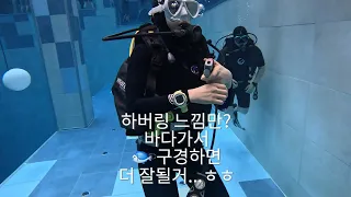 (SCUBA)보홀... 갈수있겠죠?