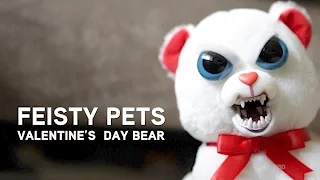 Feisty Pets - Valentine's Day Bear from ThinkGeek