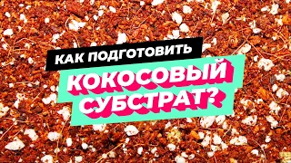 Подготовка кокоса | Буферизация | Опыт гровера