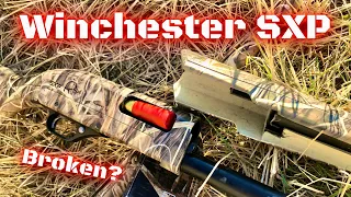 HONEST Review | WATCH This Video BEFORE You Buy A Winchester SXP