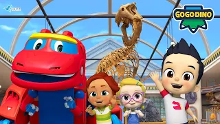 Learn Dinosaurs in Go Go Dino Museum🦖🦕 | International Museum Day Special | Dinosaurs | Kids Cartoon