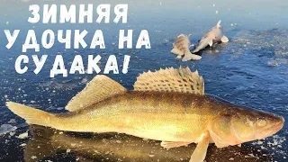 УДОЧКА ДЛЯ ЛОВЛИ БЕРША И СУДАКА ЗИМОЙ НА ТЮЛЬКУ!!! МОНТАЖ.