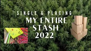 My Entire Stash! - 2022