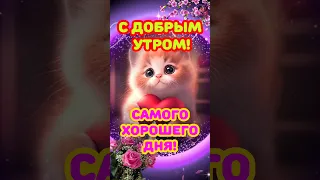 С добрым утром!❤️❤️❤️ Хорошего дня! 🥰 Привет от меня!👋😍