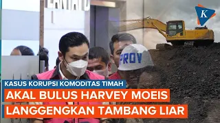 Peran dan Akal Bulus Harvey Moeis dalam Kasus Korupsi Komoditas Timah