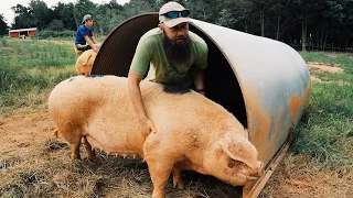 This Burly Butcher Cut Up Our Pig then Showed Us His Hog Farm