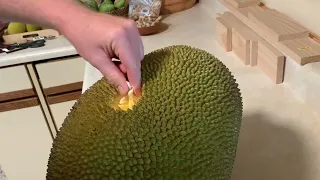 How to Test Fresh Jackfruit Ripeness