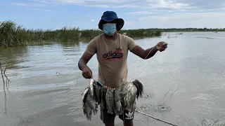 Wow!!!!sri Lankan fishcathing video