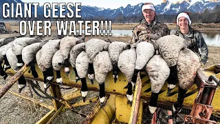 GIANT Geese Over Water: Quick 4 Man Limit - Goose Hunting the Front Range of Colorado!