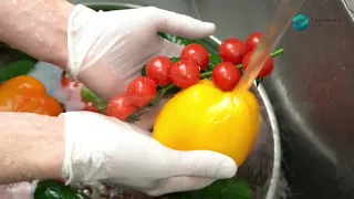 8 Tips to Properly Wash Fruits and Vegetables