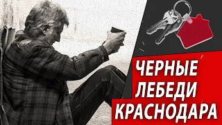 Чёрные Лебеди Краснодара | Журналистские расследования Евгения Михайлова