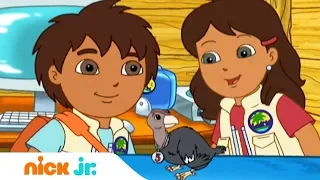 Гоу, Диего, Гоу! | Подсчет кондоров | Nick Jr. Россия