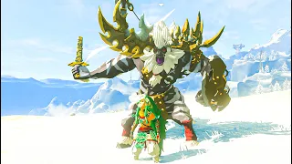 The Legendary Super Hylian vs a Lynel in Tears of the Kingdom...