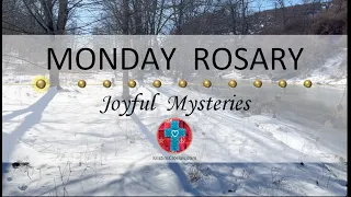 Monday Rosary • Joyful Mysteries of the Rosary 💙 February 19, 2024 VIRTUAL ROSARY - MEDITATION