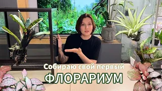 Сборка флорариума | ABG mix | фитоглина | посадка растений