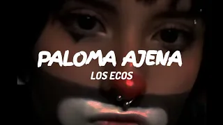 La canción de la cepillina de tik tok 🙈|| paloma ajena - Los Ecos / Letra