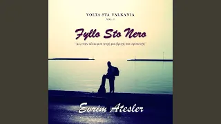 Fyllo Sto Nero (Volta Sta Valkania, Vol. I)