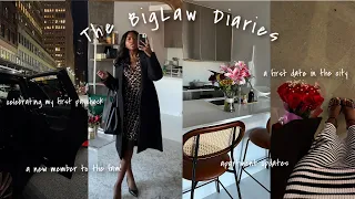 The BigLaw Diaries: creating routines,firm picture day,going on a first date,my first check + more!